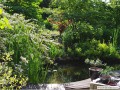 Gartenteich an der Terasse
